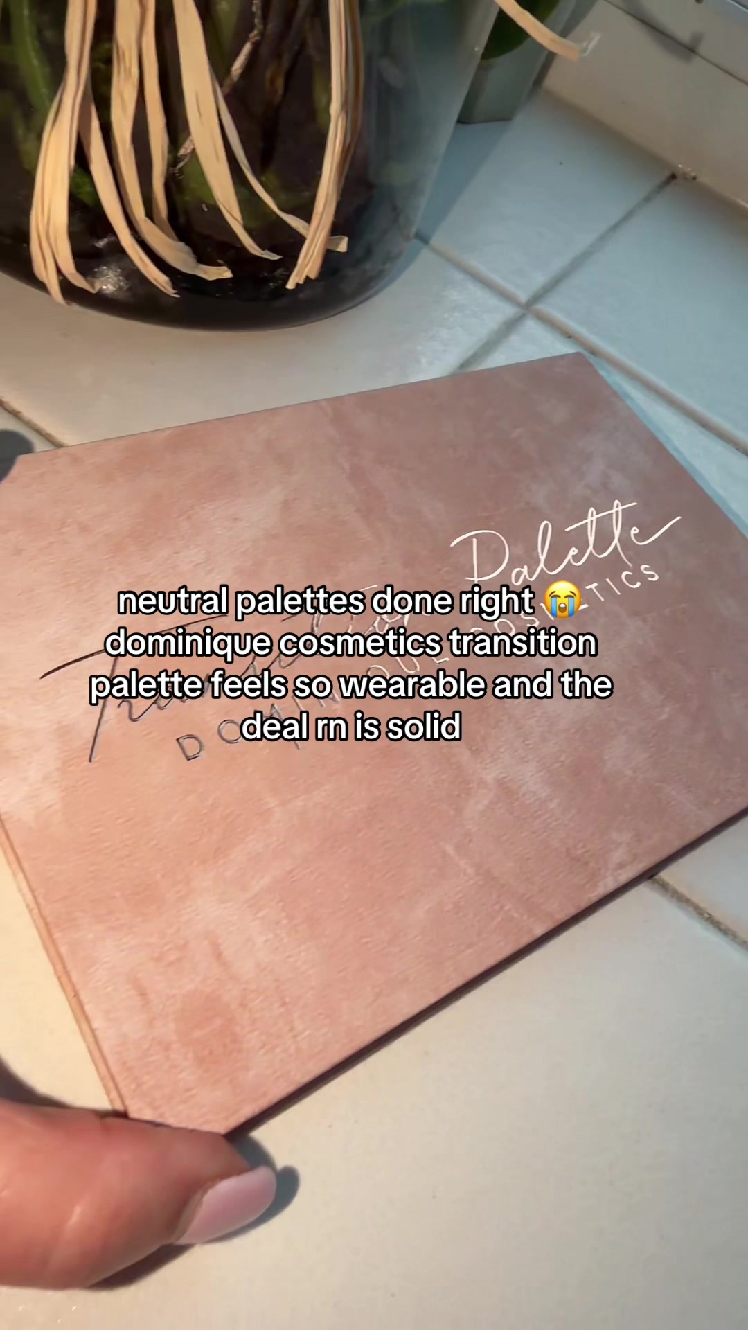 TikTok post by @sandrasfavoritefinds for Dominique Cosmetics. Caption reads: Dominique Cosmetics Transition Eyeshadow Palette....