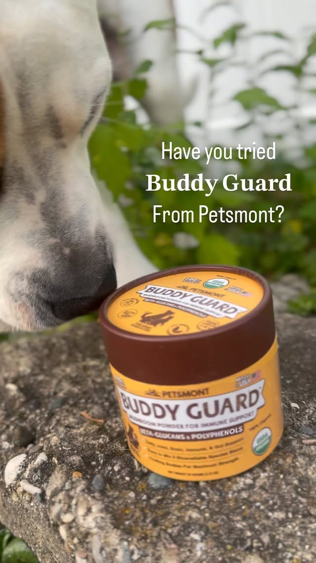 Instagram post by @coffeedreamsandmilkbonewishes for Petsmont. Caption reads: [...] Have you tried Buddy Guard from @petsmont?....