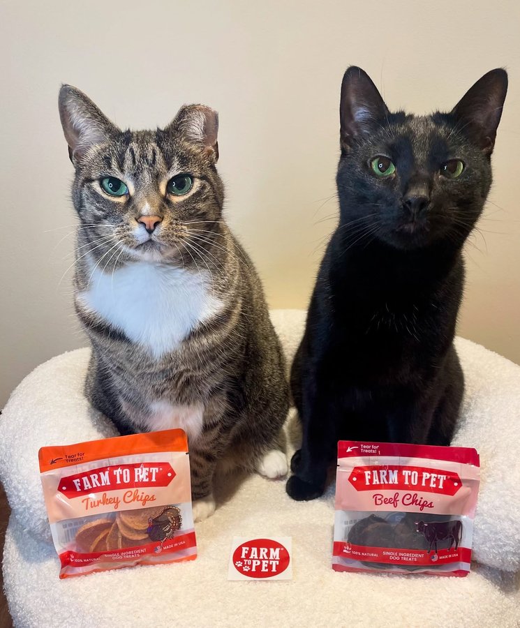 Instagram post by @milocat_sweetness for Farm to Pet. Caption reads: [...] for some treats!? Check out our new....