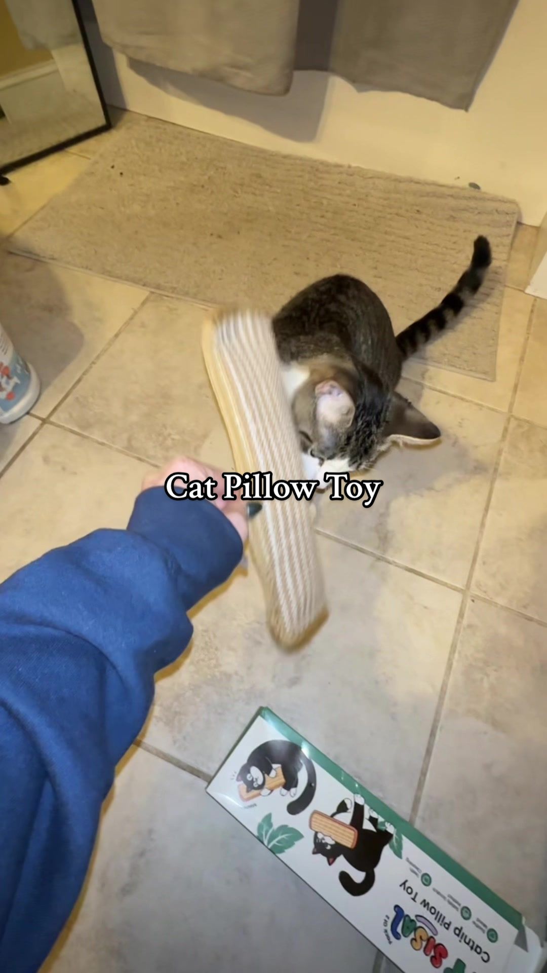 TikTok post by @nikkibeltrandi for Potaroma. Caption reads: [...] toys! He definitely approves of his....