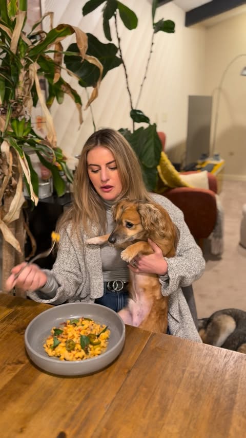 Instagram post by @tikiplustwo for Brami. Caption reads: #ad Taking a rare break from posting dog content....