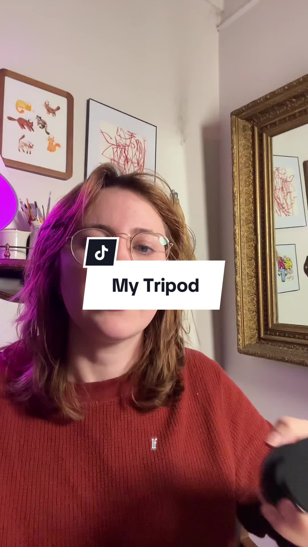 TikTok post by @lizzbianne for Ulanzi. Caption reads: Ulanzi is becoming my favorite brand for filming....