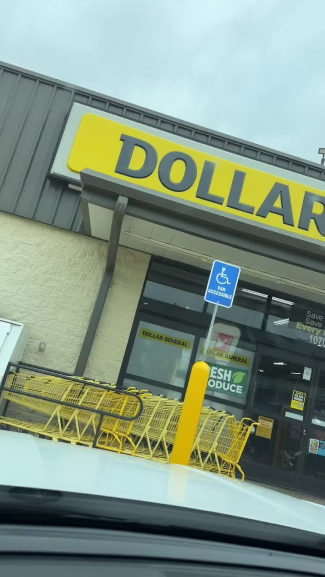 TikTok post by @_chattyfaye_ for Raybee Furniture US. Caption reads: @Dollar General @Raybee Furniture US #dgcouponing....