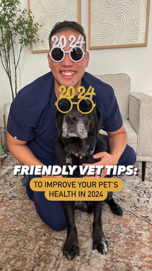 Instagram post by @thefriendlyvet for VetriScience. Caption reads: #VetriExpert #Sponsored ✨ 2024 is right around the....