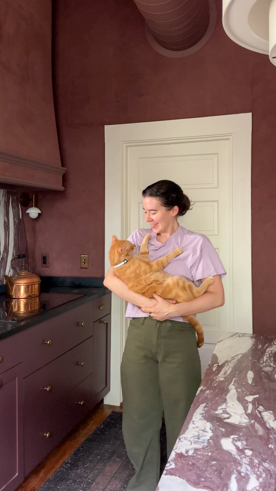 Instagram post by @reneerenovates for Purina One. Caption reads: Beef is now three weeks into Purina ONE’s 28 Day....