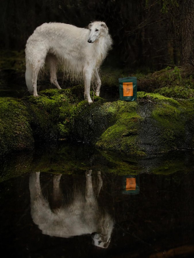 Instagram post by @zarwoe.oligarch for ESSENTIAL FOODS. Caption reads: [...] See our story 😊

(Ad) Treats from....