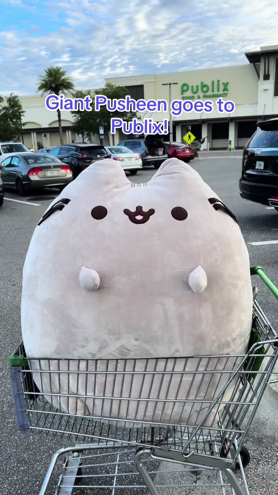 TikTok post by @kendallpusheens for Sour Patch Kids. Caption reads: Hope you enjoyed this video! I hope to make a....