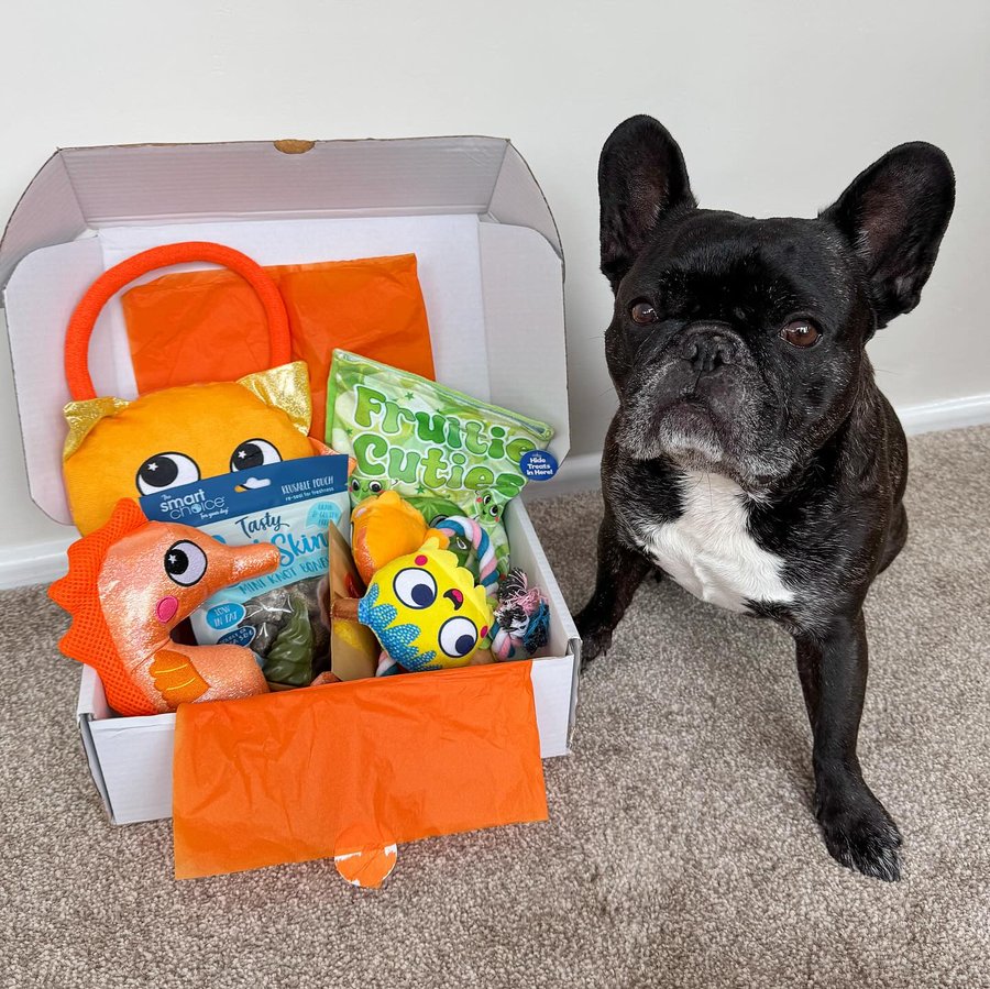 Instagram post by @louie_toes_frenchie for Happy Tails Hampers. Caption reads: [...]  subscription box of goodies from....