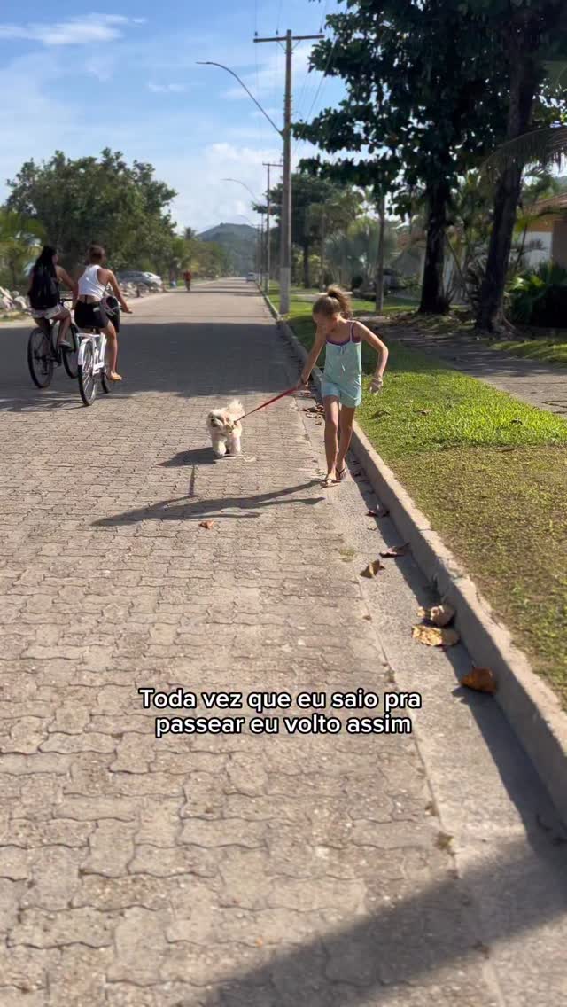 Instagram post by @luckluludog for Shopee. Caption reads: Saiu um caldo das minhas patinhas 😂😂

Todos os....