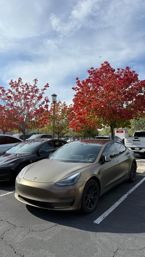 Instagram post by @kaizzmaniego for Timberland. Caption reads: Breaking the Timberland uniform this Fall....