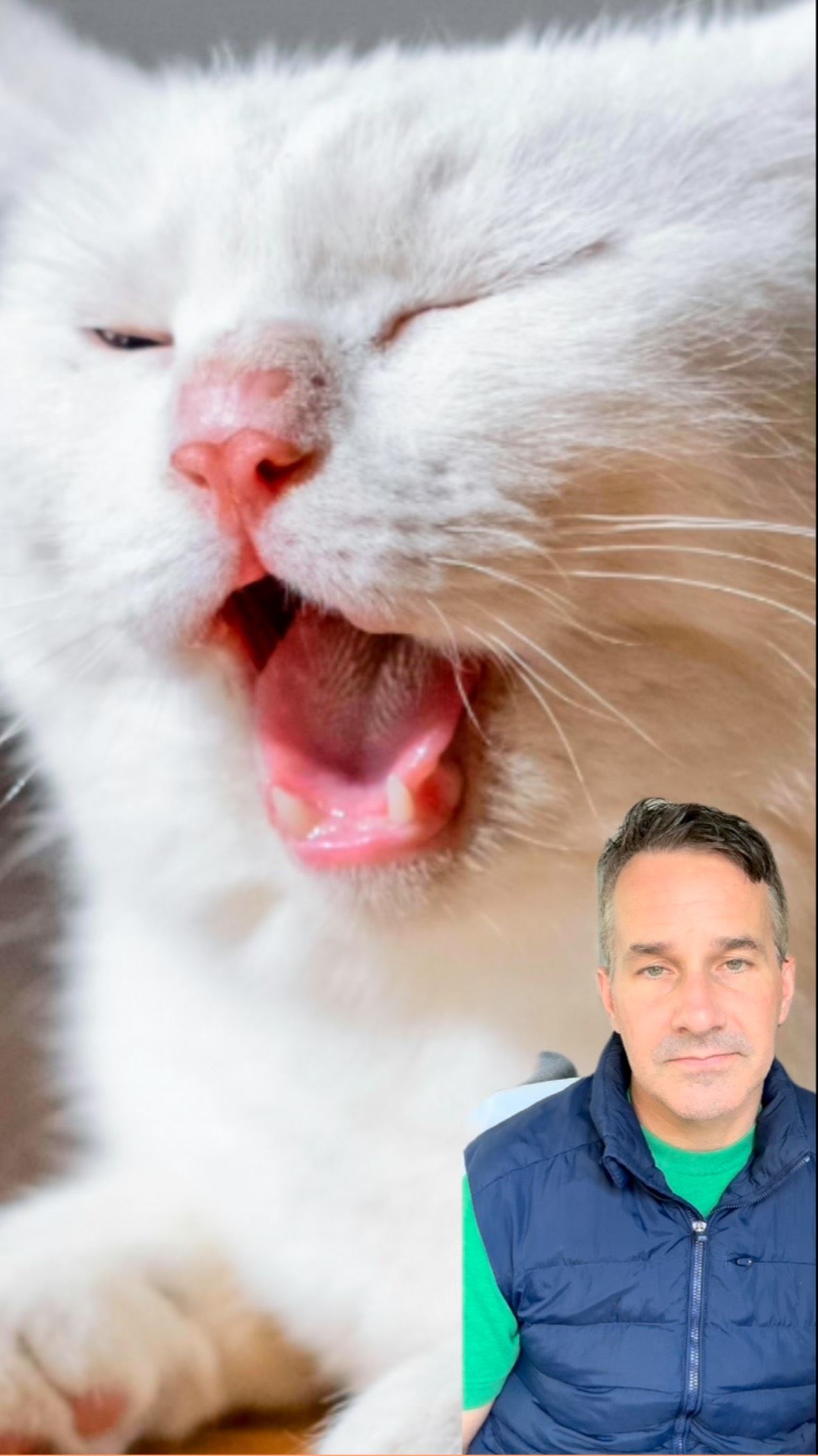 Instagram post by @dr.mattmcglasson for Fera Pets. Caption reads: Choose the lysine supplement that was created by a....