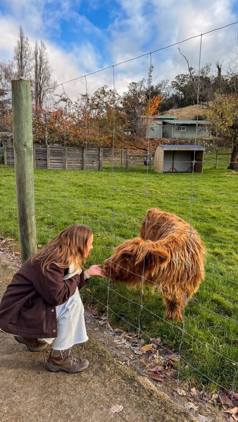 Instagram post by @explorinwithnic for GetYourGuide. Caption reads: [...] I’ve done in NZ! I booked it through....