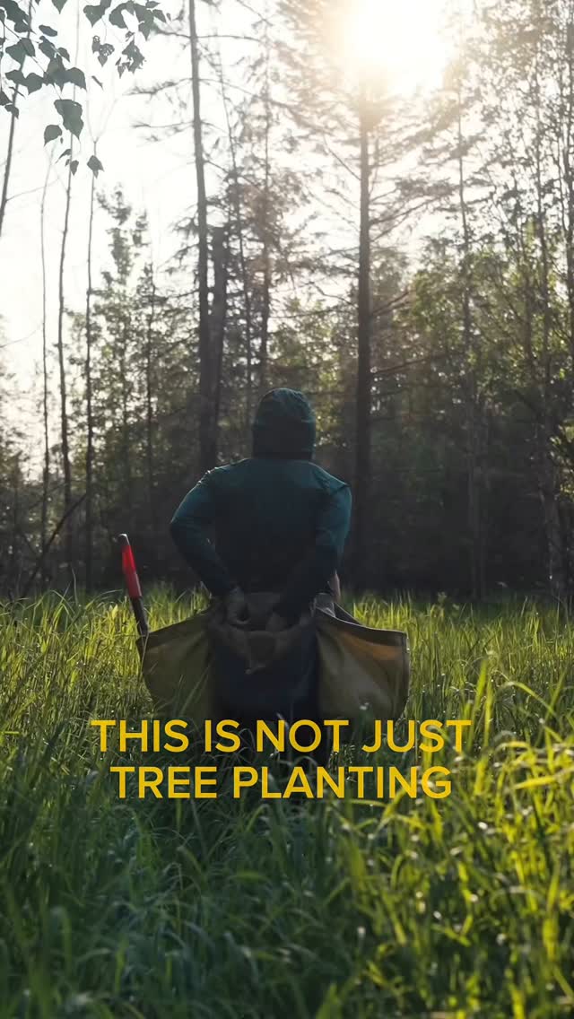 Instagram post by @antomosplant for TELUS. Caption reads: Big News. Big Impact. 🌳

After planting close to....