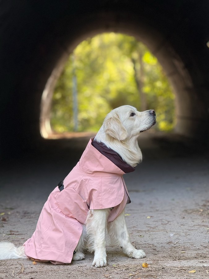 Instagram post by @goldieglueckmarlo for PAIKKA. Caption reads: JUNGS TRAGEN ROSA 🤝🏼🩷 *Werbung #PAIKKASquad....