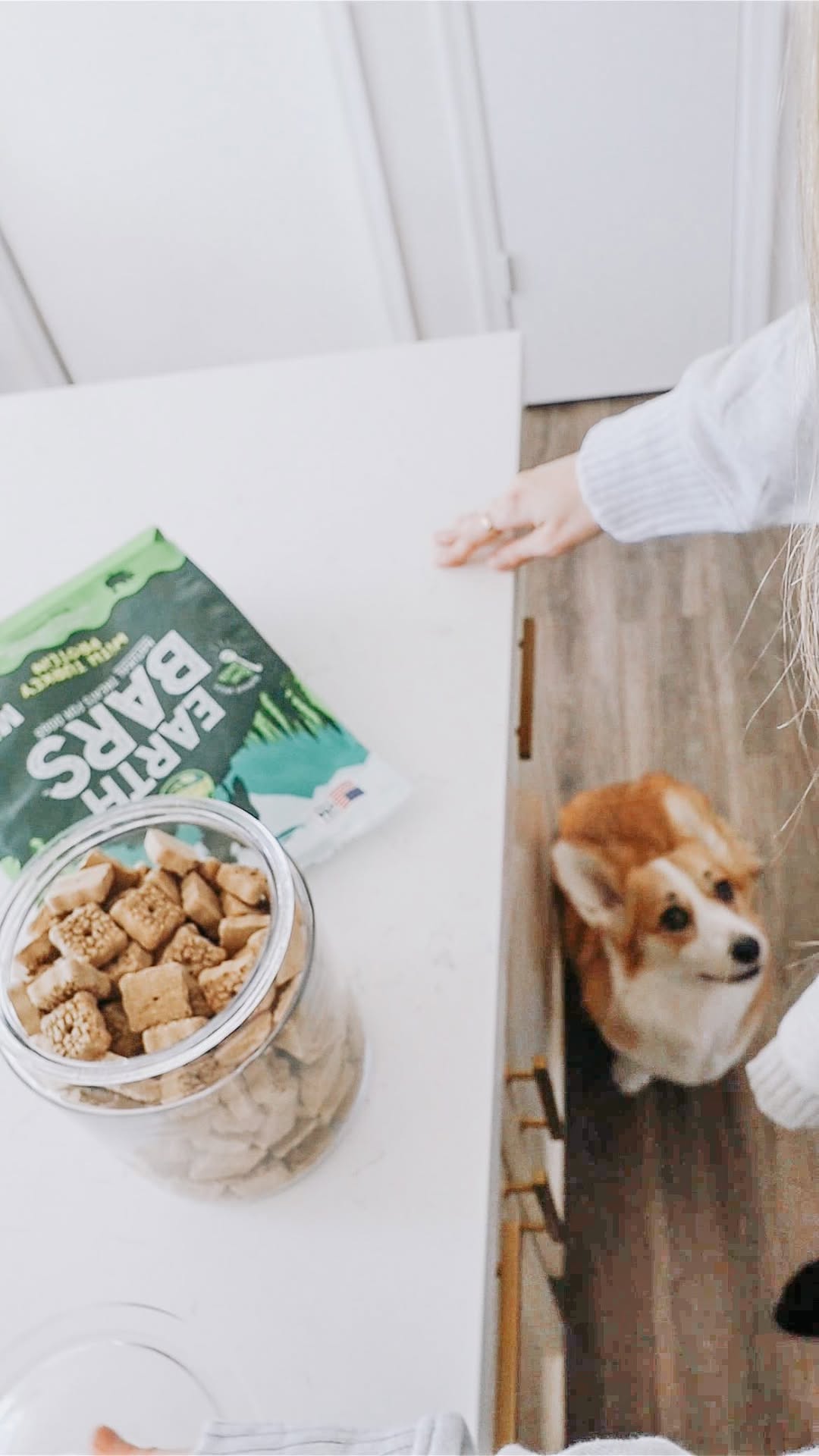 Instagram post by @devonandwillo for Earthborn Holistic Pet Food. Caption reads: The secret to making your dog love you more is....