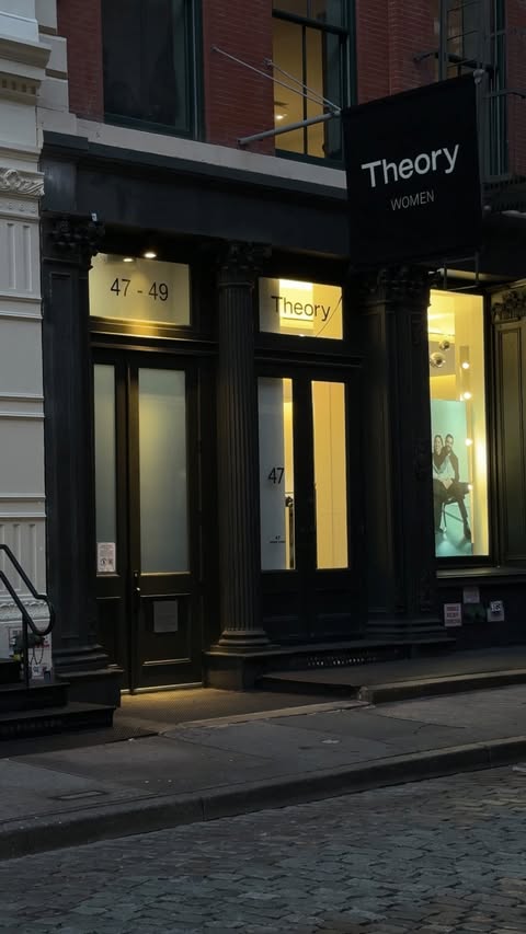 Instagram post by @rem0nia for Theory. Caption reads: @theory__ just launched its holiday wildposting....