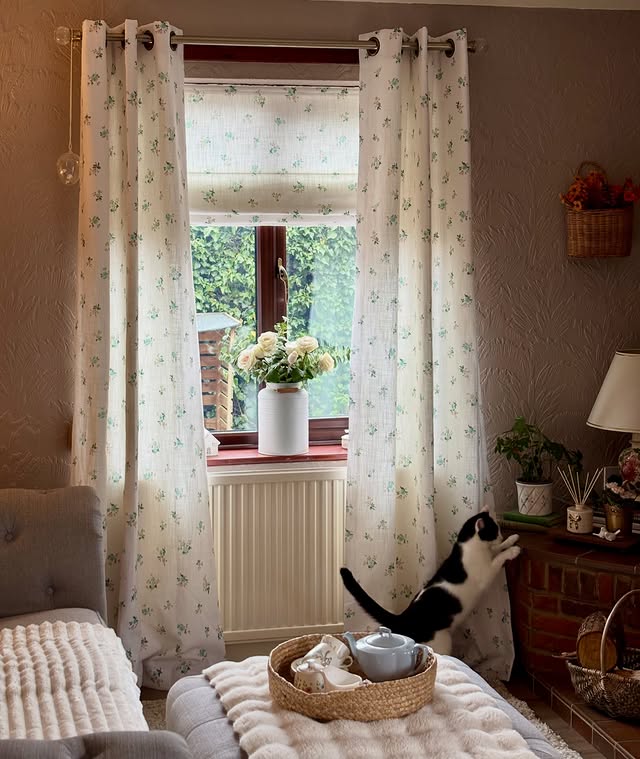 Instagram post by @cosylittlehaven for Blinds 2go. Caption reads: [...] #cats #cosyhomestyle Curtains & Blind....