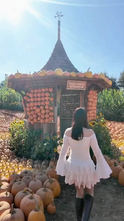 Instagram post by @tavesfarms for Narcity. Caption reads: #ad The magic of fall is here at @tavesfarms!....