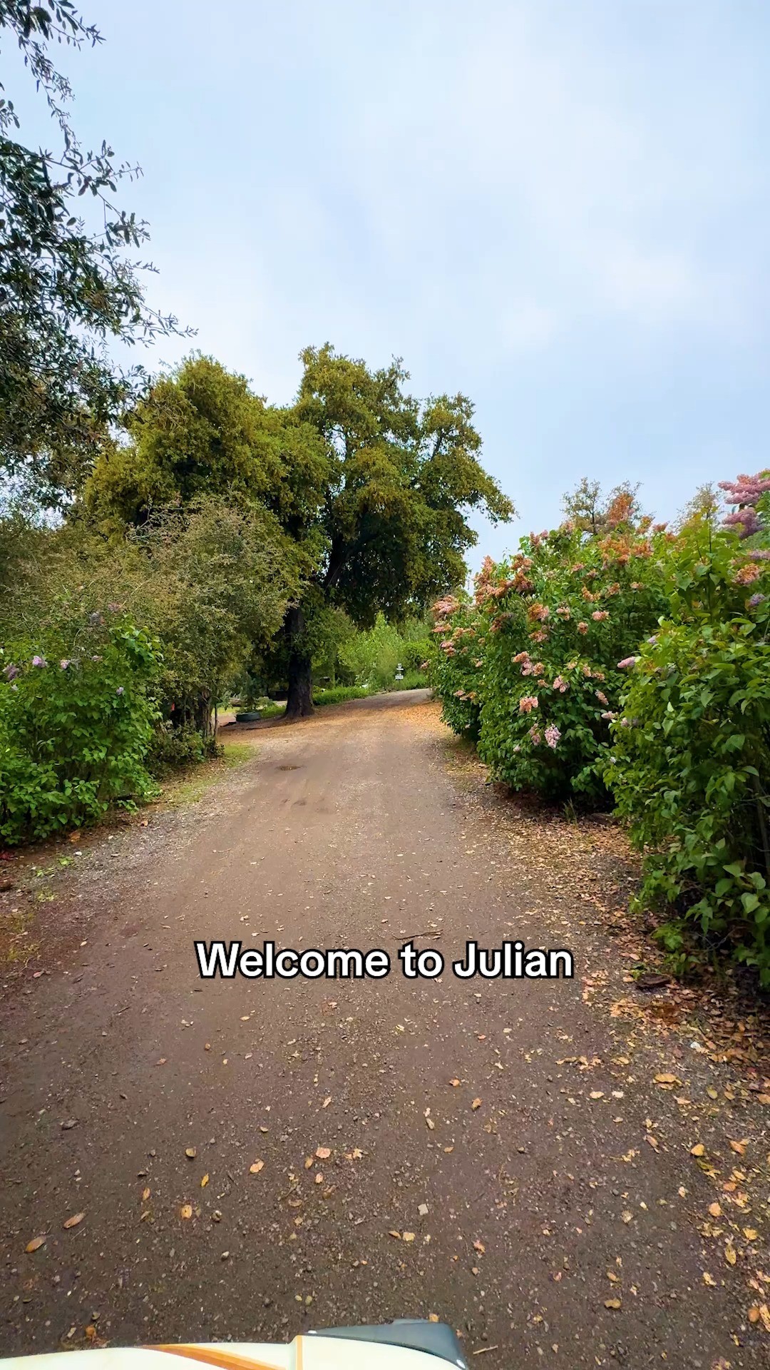 Instagram post by @visitjulian for Visit California. Caption reads: Visiting the town of Julian’s not just a weekend....