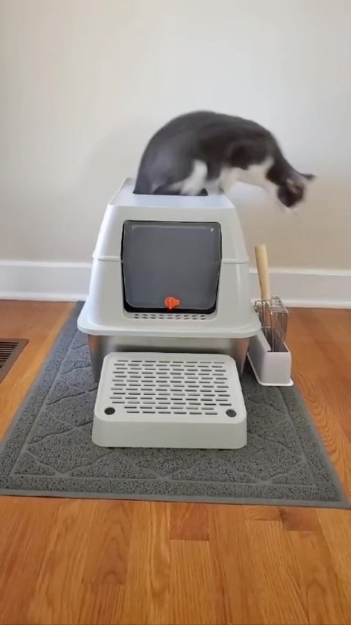 Instagram post by @samcyildiz for Amazon Pets. Caption reads: @vagascape_ Stainless Steel Cat Litter Box. This....