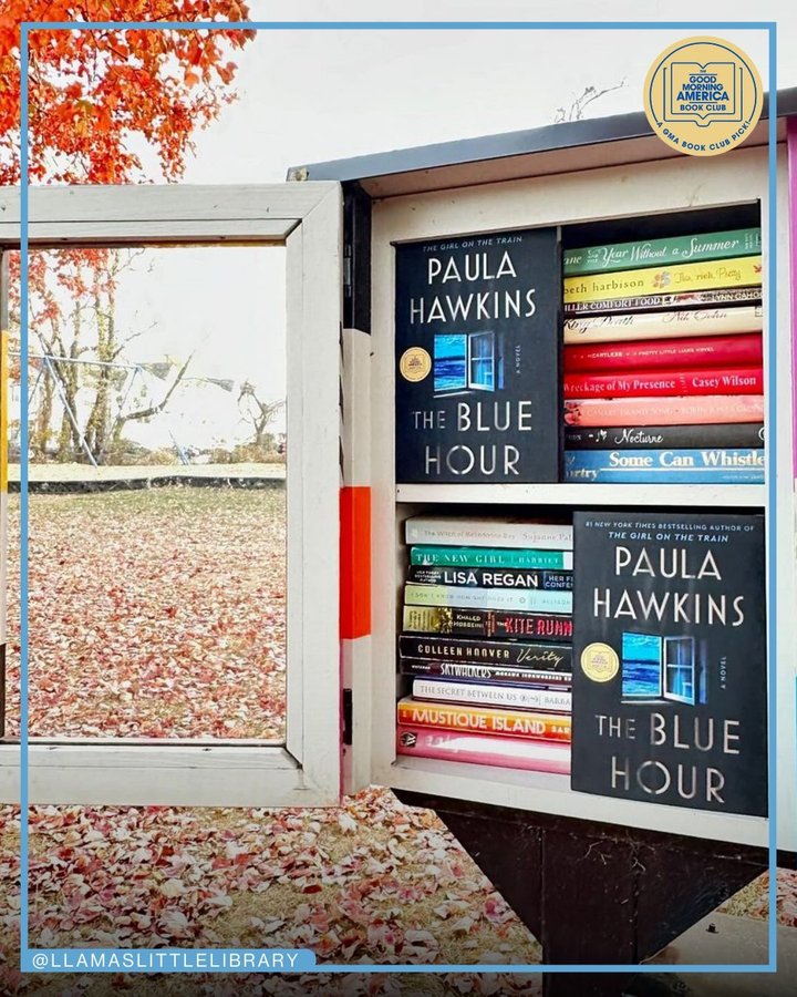 Instagram post by @littlefreelibrary for Good Morning America. Caption reads: Feeling extra grateful for our @littlefreelibrary....