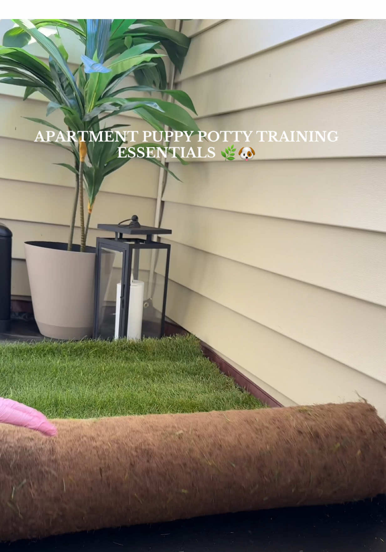 TikTok post by @kassandrabiscocho for freshpatch. Caption reads: Apartment puppy potty training just got so much....