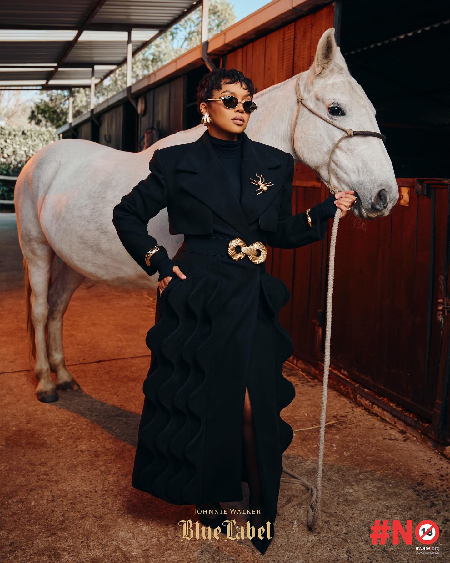Instagram post by @siyabunny for Johnnie Walker. Caption reads: #AD| What an exceptional Polo, done the true....