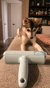 Instagram post by @stormythekleekai for Delomo. Caption reads: Weekend Clean Up made easy 🧹 Loving the....