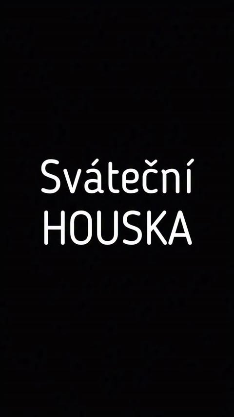 Instagram post by @ladka_nergesova for Pernerka. Caption reads: [...] vejce
550g polohrubé mouky @pernerka.cz 
a....