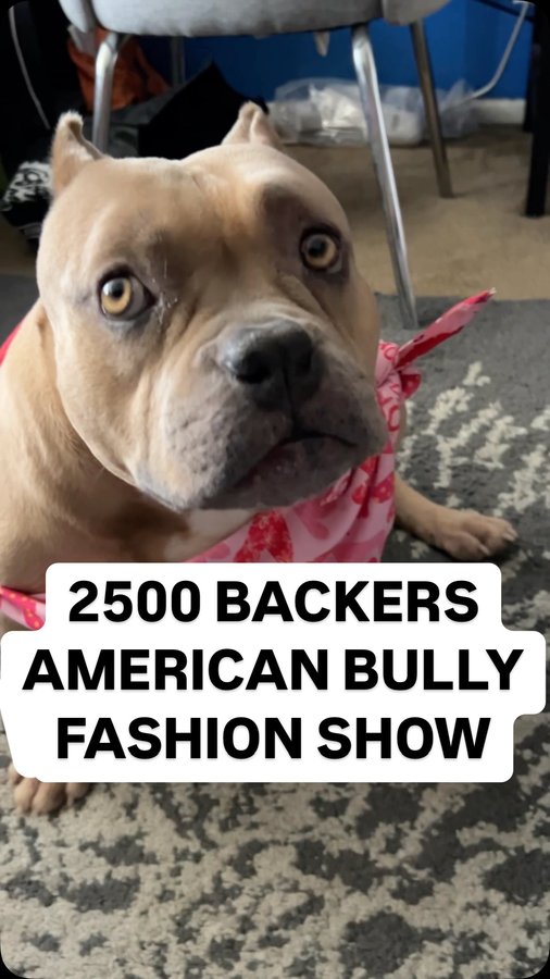 Instagram post by @rekha_s for Kickstarter. Caption reads: 2500 BACKERS I GOT U A FASHION SHOW DON’T....