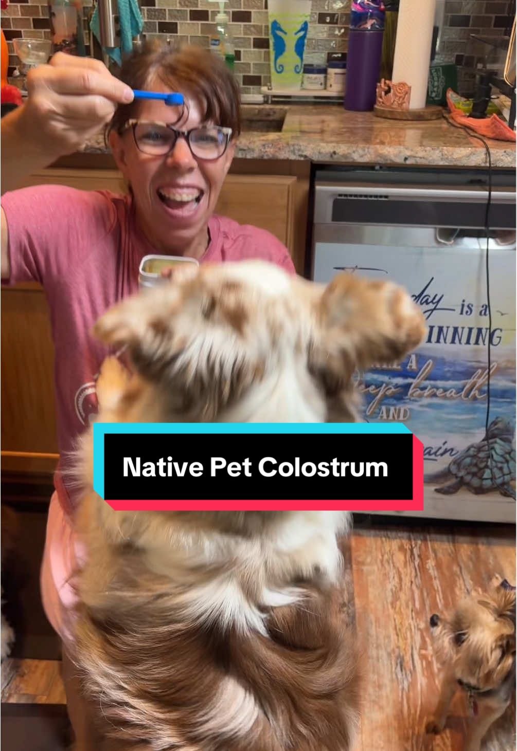 TikTok post by @jess.3054 for Native Pet. Caption reads: [...] dog that actually works. Native Pet....