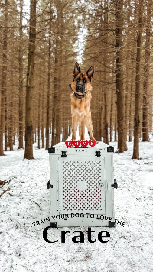 Instagram post by @life.with.ice for Impact Dog Crates. Caption reads: SAVE this post for crate training tips!....