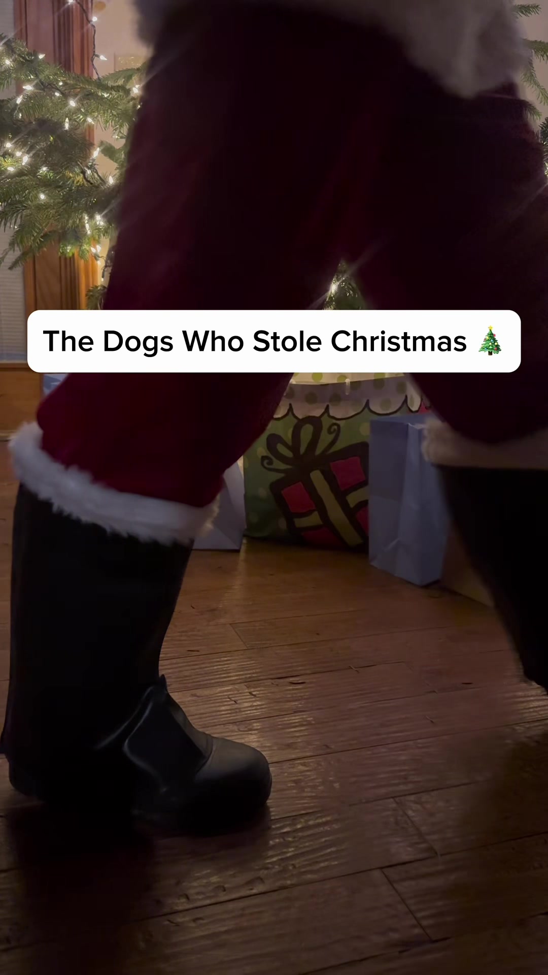 TikTok post by @thegoodhype for Roborock. Caption reads: [...] back to our house next year… 😬🎄....