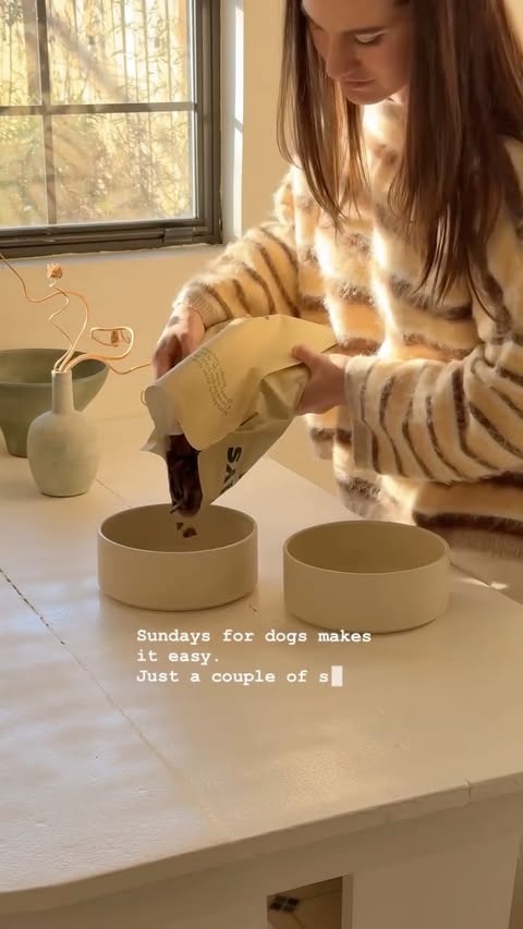 Instagram post by @themoptop for Sundays for Dogs. Caption reads: [...] need, especially as they get older!....