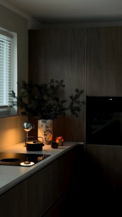 Instagram post by @daves_home for Serax. Caption reads: Catch the snow ❄️ 25-12-2025
.
#midcentury....