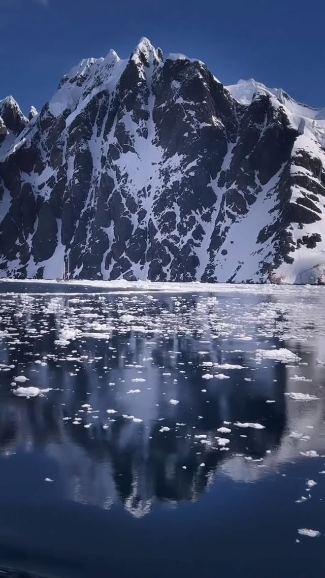 Instagram post by @naomijaneadams for SENSTYLABLE. Caption reads: ad. It’s my Birthday and my therapist says I....