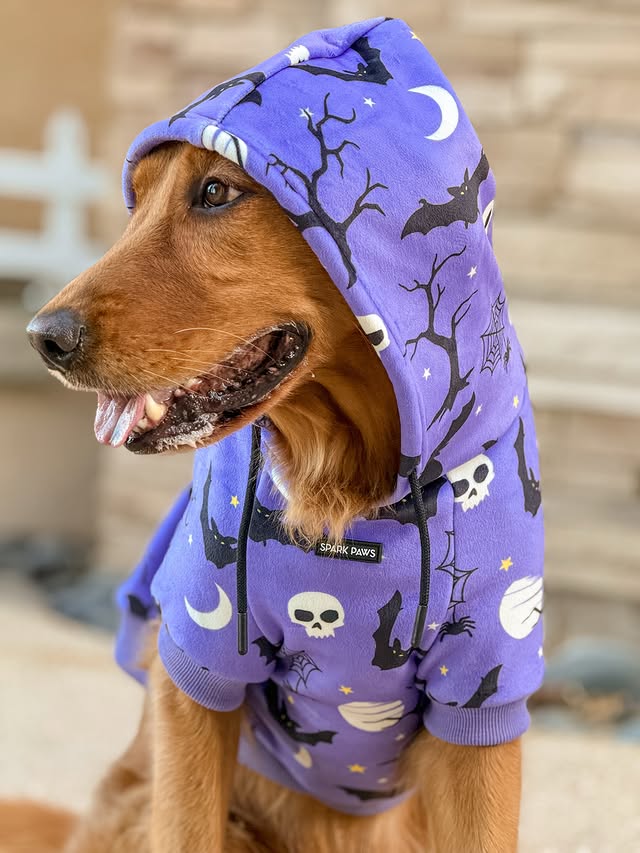 Instagram post by @layla_the_goldengirl for Spark Paws. Caption reads: [...] little scary hoodie from @sparkpawsofficial....