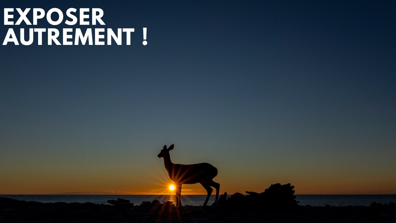 YouTube post by @LouisLavoiephoto for NEEWER. Caption reads: [...] 3) Support professionnel NEEWER: (15%....