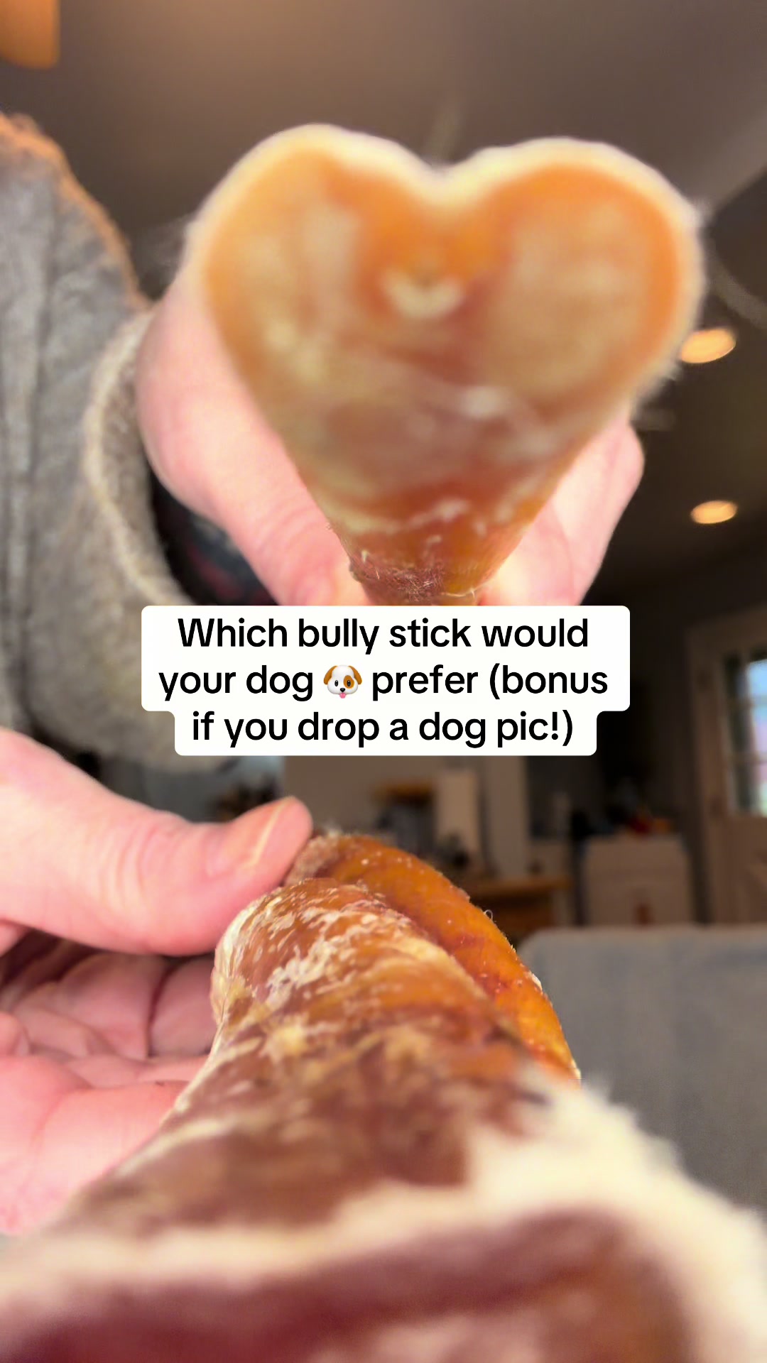 TikTok post by @prisilla005 for King Lou. Caption reads: [...] #dogchew #dogtreats #powerchewer @King Lou.