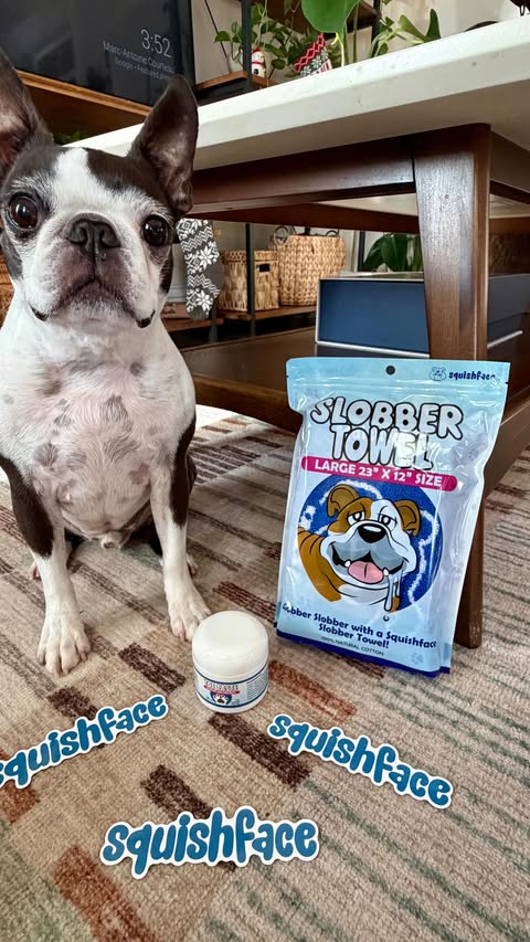 Instagram post by @hopstheboston for Squishface. Caption reads: So excited to be partnering with @squishface 🖤 If....