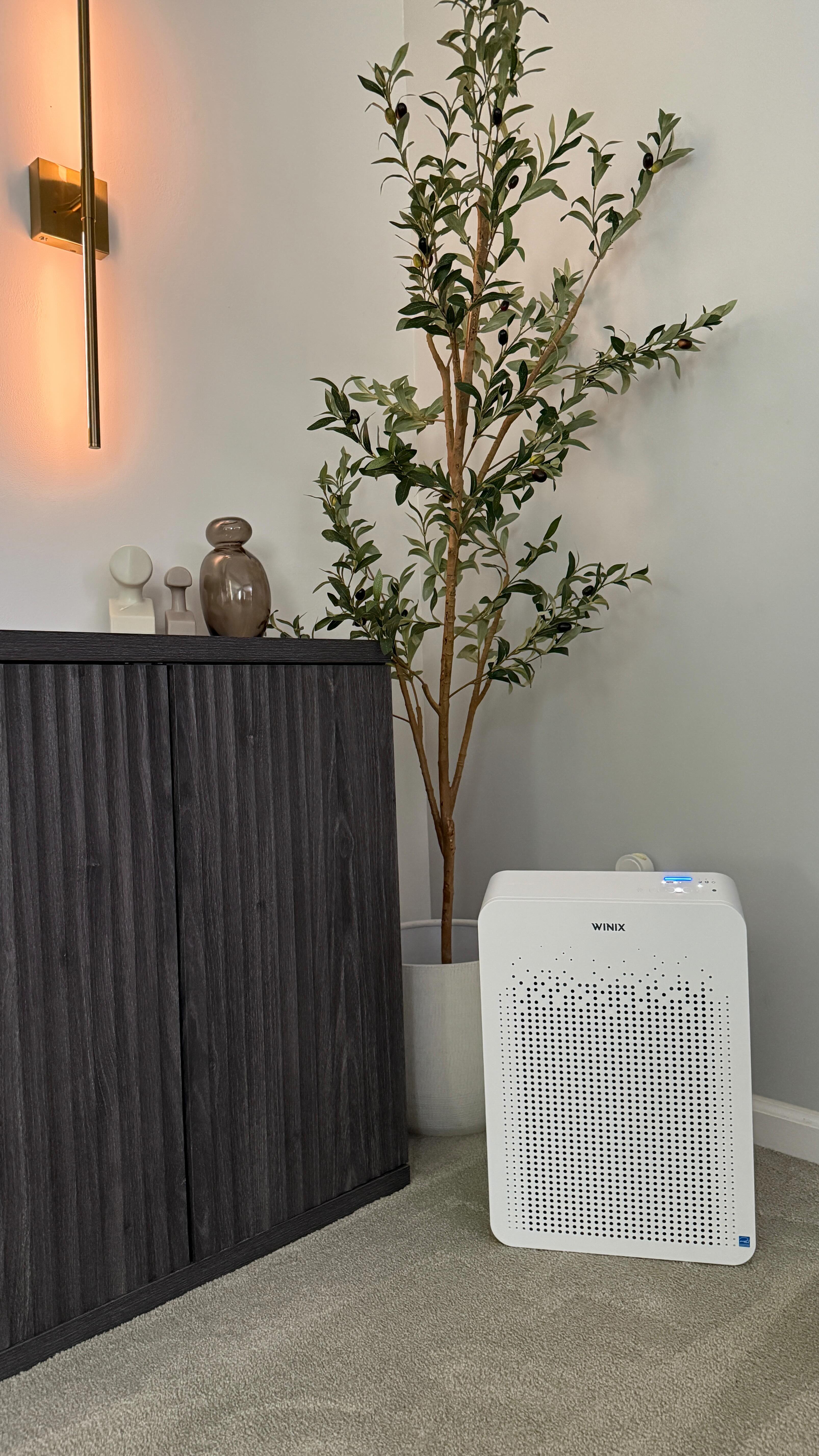 Instagram post by @xocoya for Winix America. Caption reads: [...] for 25% off any WINIX Air Purifier.....
