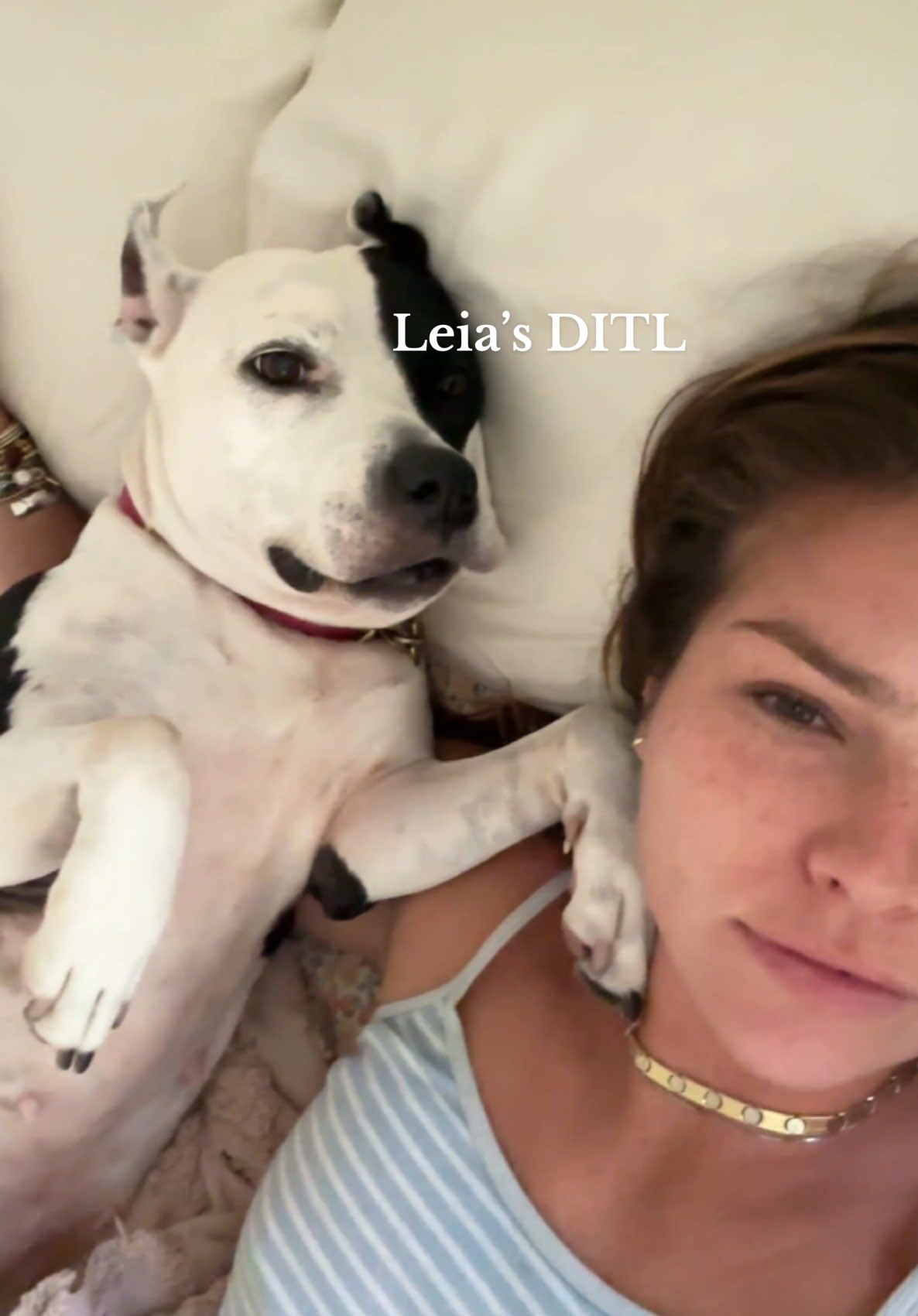 TikTok post by @lexxhidalgo for Chewy. Caption reads: See my life is ruff but at least my parents life....