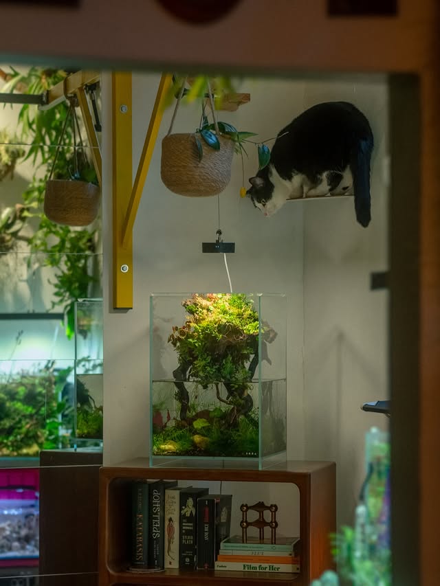 Instagram post by @hausofgruen for Zara Home. Caption reads: [...] rearranged this space and added a new....