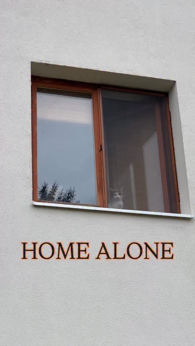 Instagram post by @pianists_mariana.dimcho for Neakasa. Caption reads: “No problem, when I’m home alone” - Mirka

NEAKASA....