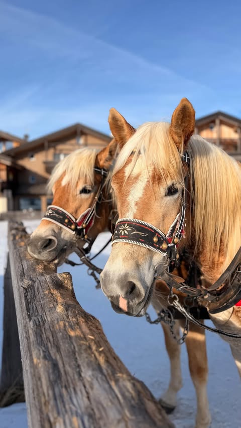 Instagram post by @dresslikeamum for Südtirol | Alto Adige | South Tyrol. Caption reads: ad. I have recently returned from an incredible....