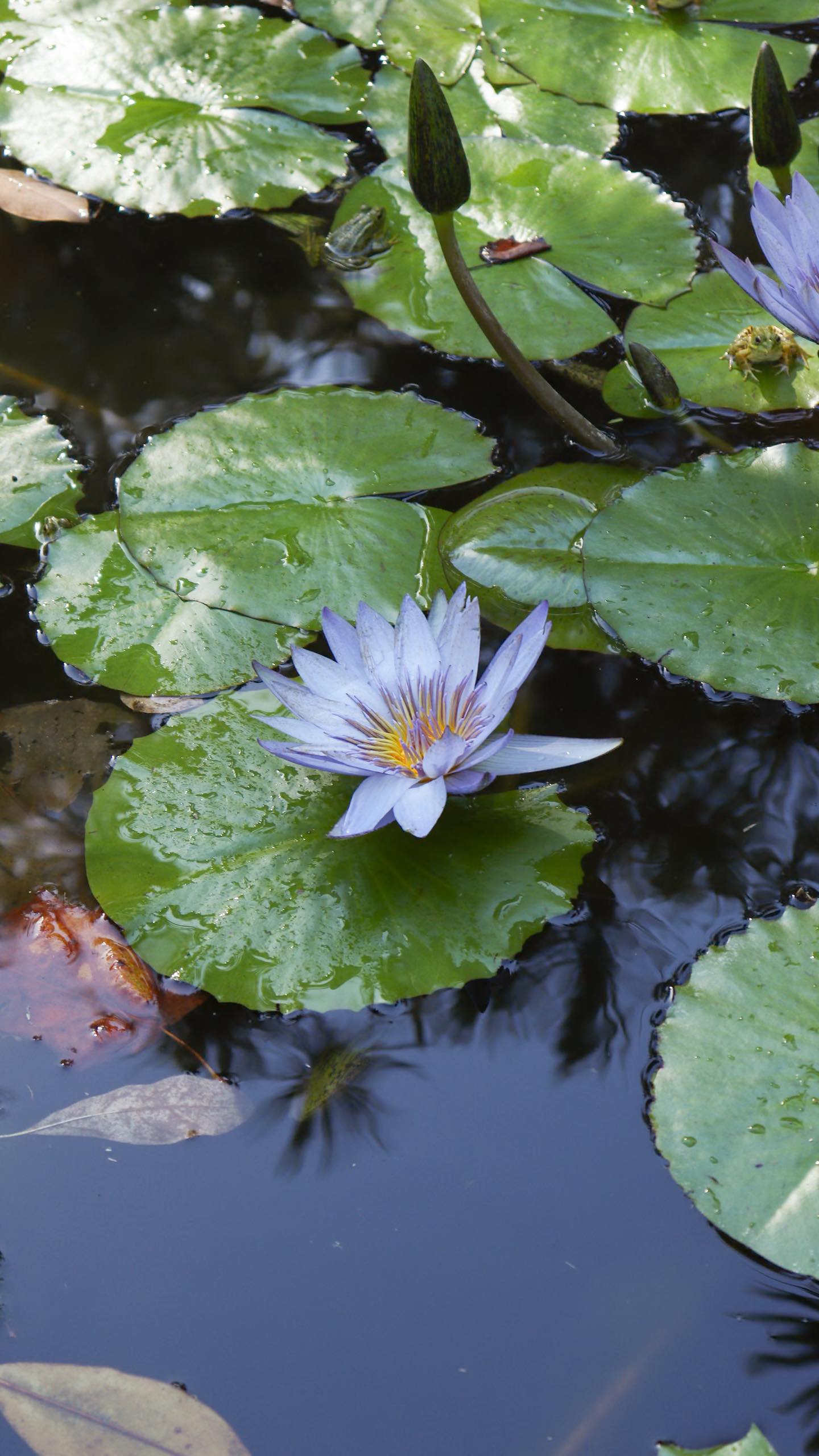 Instagram post by @gem_diaries for LARQ. Caption reads: Up to 30% OFF on @livelarq 🎁 Link on my bio!

I....