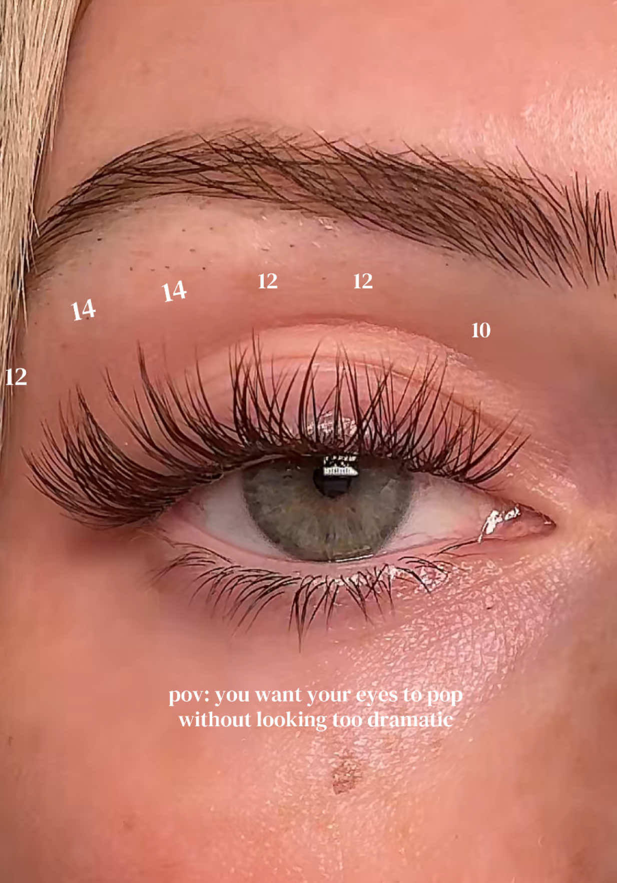 TikTok post by @allisongoodwinn for Kisslily. Caption reads: PLUME from @Kisslily #naturallashes #lashtutorial....
