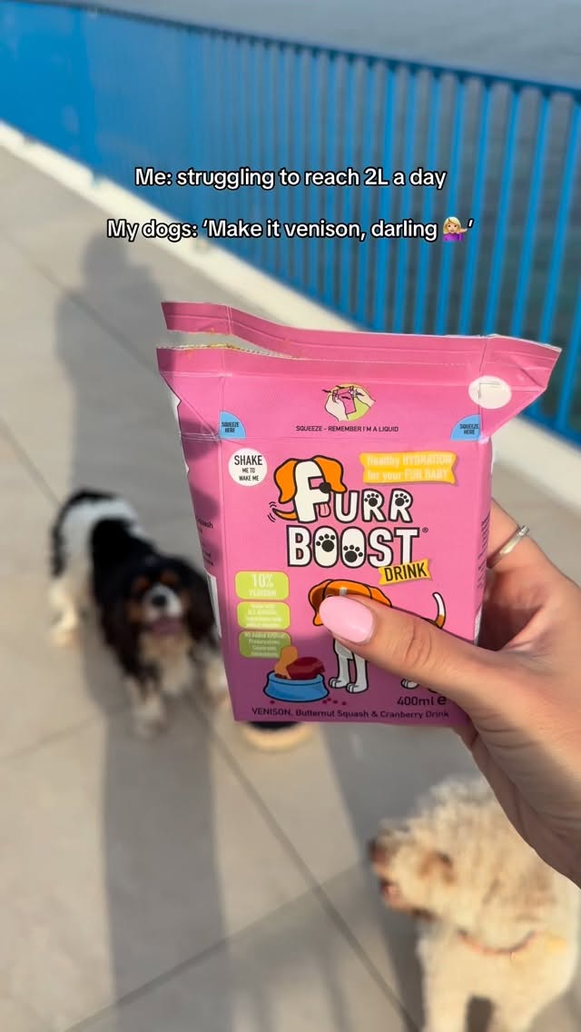 Instagram post by @ralphandkinder for Furr Boost. Caption reads: No ordinary water allowed in our household....