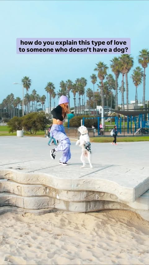 Instagram post by @torinishino for Wellness Pet Food. Caption reads: Yes Bon Bon is a rescue…
But the truth is.

He....