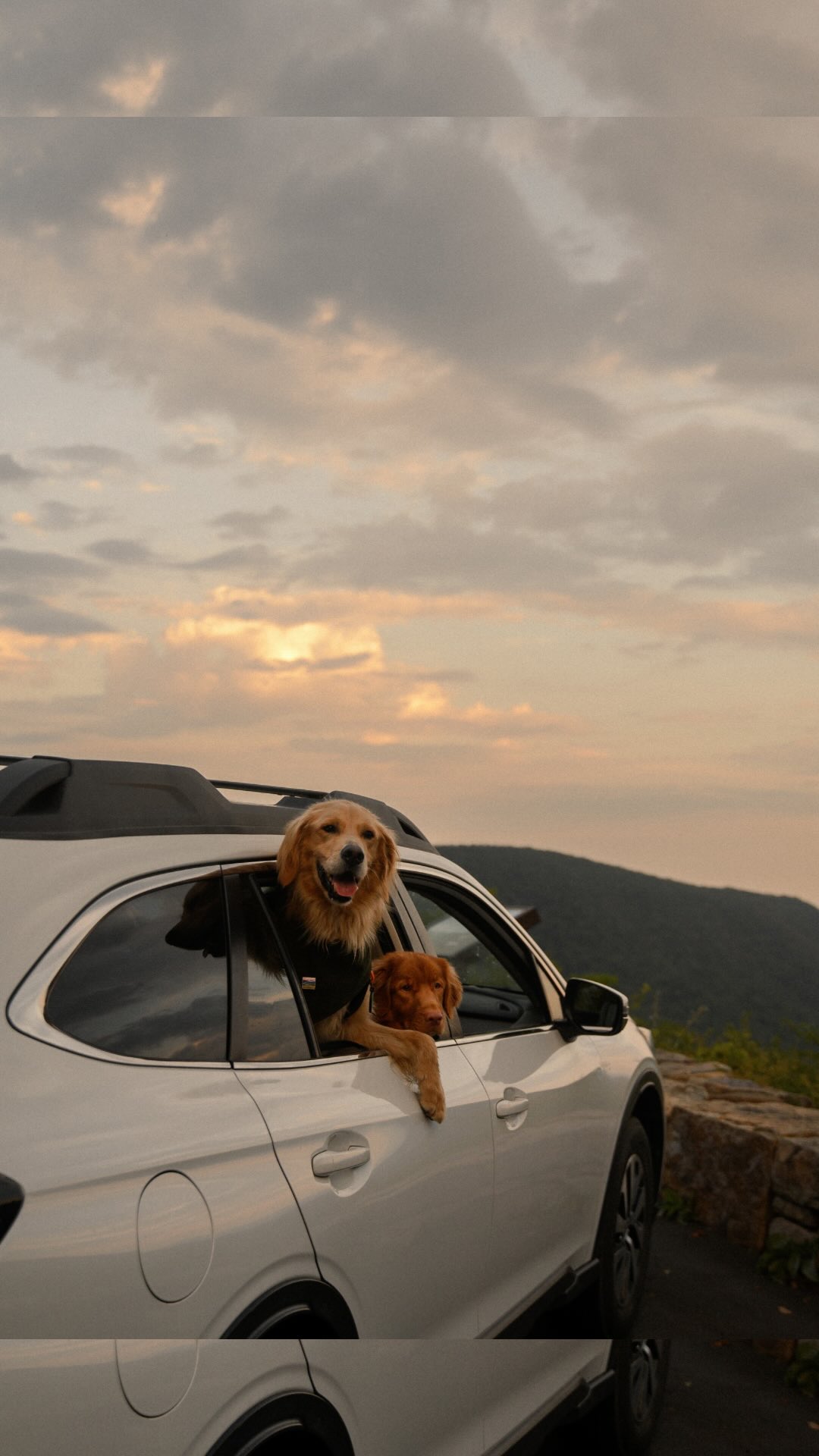 Instagram post by @foxtoller for Best Western. Caption reads: After thousands of miles on the road together,....